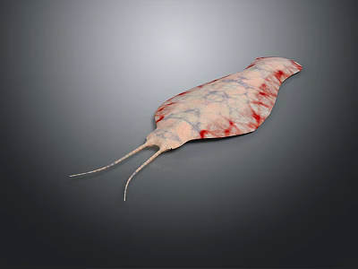 Unique Marine Aquatic Animal With Red Spots And Long Slender Tentacles 3d model