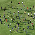 Group of People Standing in Arranged Formation on Green Grass Field