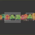 Colorful Trees with Vibrant Yellow Pink Green Orange Hues and Reflections Against Gray Gradient Background
