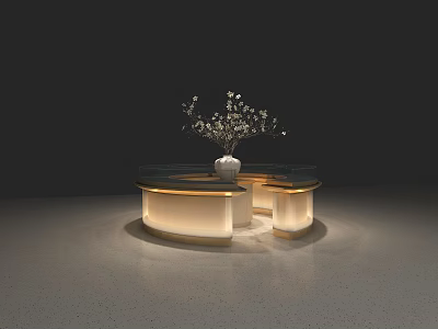 Modern Circular Display Shelf With Golden Frame White Vase And Lighting 3d model