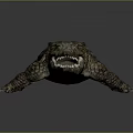 Crocodile Alligator Nile Crocodile carnivore reptile cold-blooded animal reptile 3d model