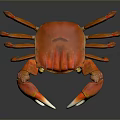 Red Crab With Large Claws And Detailed Legs In Close Up View