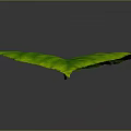 Heart shaped green leaf with prominent veins against gray background