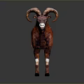 Reddish Brown And White Ram With Large Curved Horns Standing On Dark Background 3d model