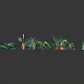Colorful Cartoon Scene With Various Plants Flamingo Tropical Flowers And Leaves