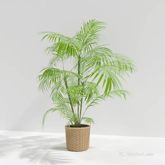 Tropical Areca Palm Potted Plant In Woven Basket For Indoor Decor 3d model 