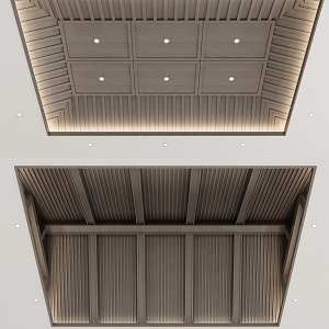 New Chinese Ceiling 3d model