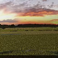 Gorgeous Natural Wetland Grassland Landscape With Warm Sunset Glow Under Soft Purple Cloudy Evening Sky