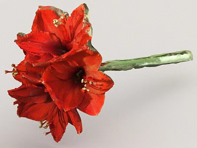 Vibrant Red Flowers with Lush Petals and Green Stem for Home Decoration 3d model