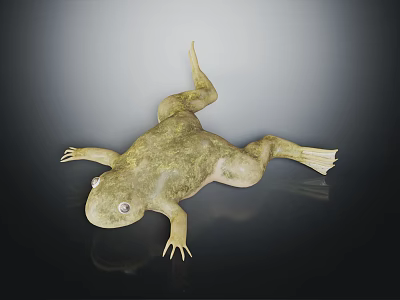 3D Rendered Greenish Yellow Frog With Mossy Texture And Reflection On Dark Smooth Surface 3d model