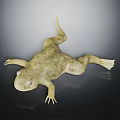 3D Rendered Greenish Yellow Frog With Mossy Texture And Reflection On Dark Smooth Surface