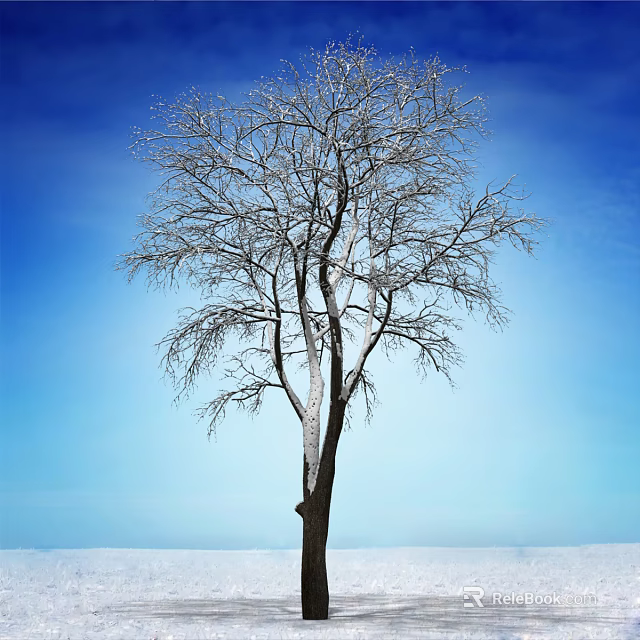 Bare Deciduous Tree with Snow Covered Branches Against Clear Blue Sky 3d model 