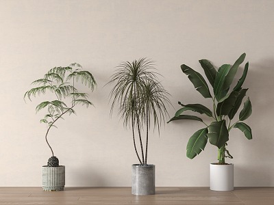 potted plant 3d model