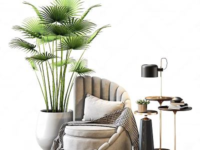Elegant Single Sofa With Soft Pillow And Throw Blanket Beside Large Green Plant And Modern Table Lamp 3d model