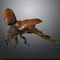 Close Up View Of Red Winged Beetle With Black Body On Dark Background