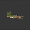 Modern Decorative Arrangement With Wooden Plank Stones Fresh Green Moss And Natural Elements