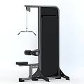 Life Fitness Black Silver Strength Training Machine Vertical Frame Cable Pulley Home Gym