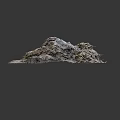 Natural Moss Plant With Rough Texture Irregular Flaky Shape And Light Brown Gray Color 3d model