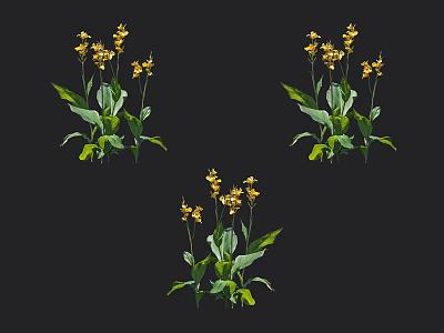 Beautiful Yellow Flowers With Lush Green Leaves And Fresh Blooms In Group 3d model