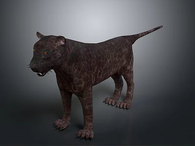 3D Rendered Leopard Model With Dark Spotted Fur Standing On Gray Background With Orange Eyes 3d model