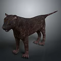 3D Rendered Leopard Model With Dark Spotted Fur Standing On Gray Background With Orange Eyes
