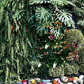 Living Green Wall With Diverse Plants Colorful Flowers Pebble Ground And Wooden Backdrop