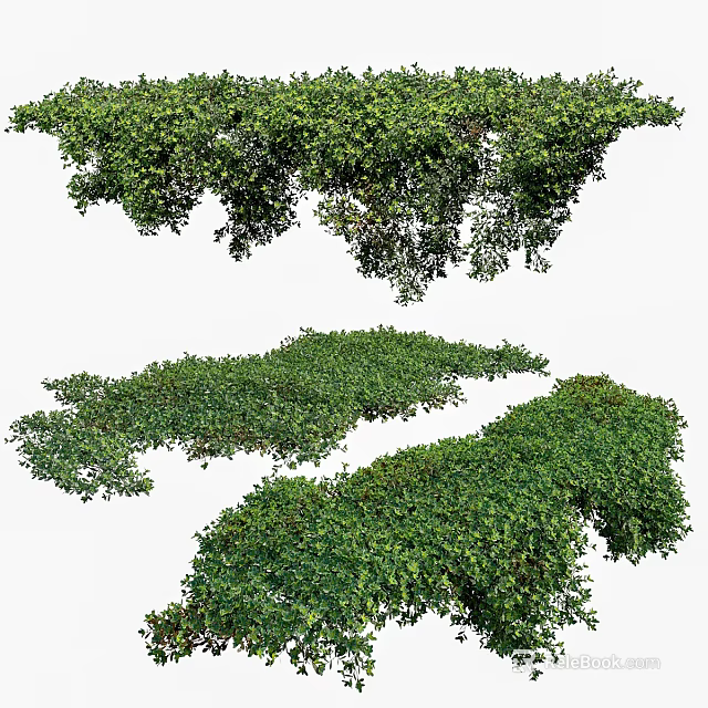 Lush Green Foliage Clusters With Dense Leaves For Garden Landscaping 3d model 