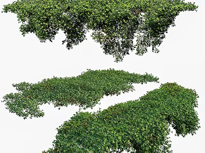 Lush Green Foliage Clusters With Dense Leaves For Garden Landscaping 3d model