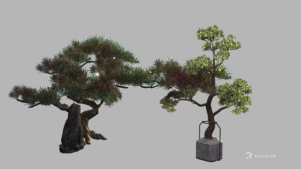 Artistic Pine Bonsai Trees with Lush Foliage Thick Trunk and Metal Frame Square Planter 3d model 