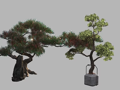 Artistic Pine Bonsai Trees with Lush Foliage Thick Trunk and Metal Frame Square Planter 3d model
