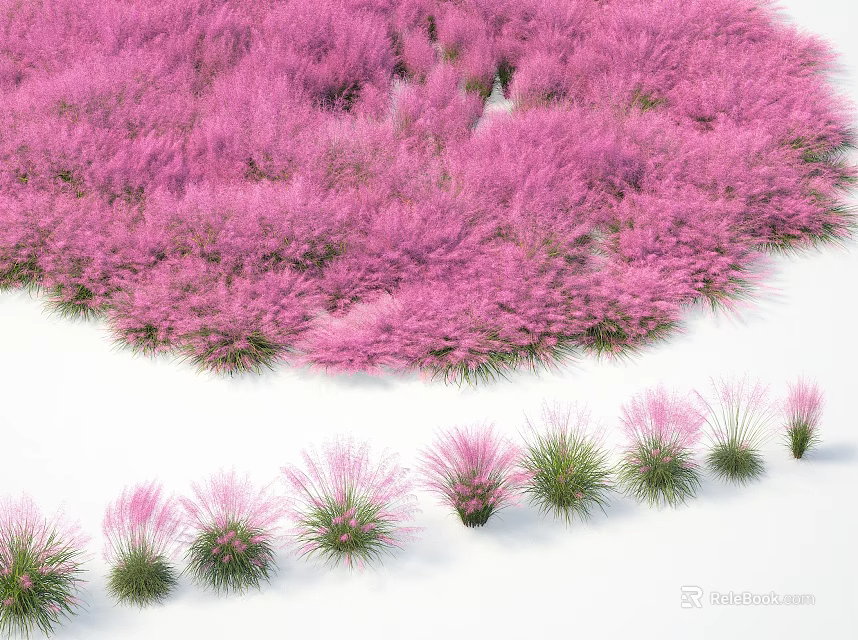 Beautiful Pink Grass Field With Lush Clusters Of Different Plants And Vibrant Green Leaves 3d model 
