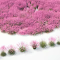 Beautiful Pink Grass Field With Lush Clusters Of Different Plants And Vibrant Green Leaves