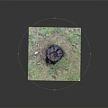 Natural Weathered Wooden Tree Stump With Circular Growth Rings On Outdoor Grass