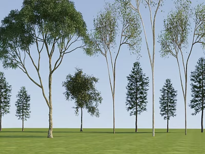 Diverse Arbor Trees Thriving in Lush Green Grassland Under Clear Blue Sky 3d model