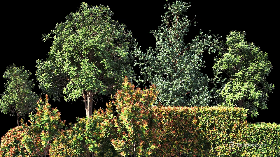 Different Types of Shrubs with Green and Orange Foliage and Trimmed Hedge Design 3d model 