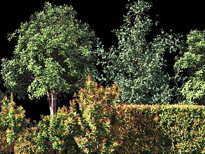 Different Types of Shrubs with Green and Orange Foliage and Trimmed Hedge Design 3d model