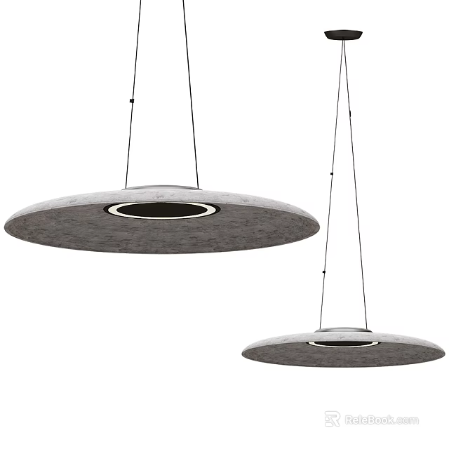 Modern Gray Round Disc Shaped Pendant Lights With Hanging Design And Inner Ring Lighting 3d model