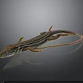 Striped Lizard with Orange Brown Body on Smooth Black Surface and Long Tail