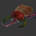 Red Beetle With Large Horns And Vibrant Shiny Exoskeleton On Dark Background