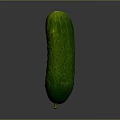 White Cucumber Water Cucumber Dry Cucumber Green Cucumber South China Cucumber European Greenhouse Cucumber Fruit Cucumber 3d model