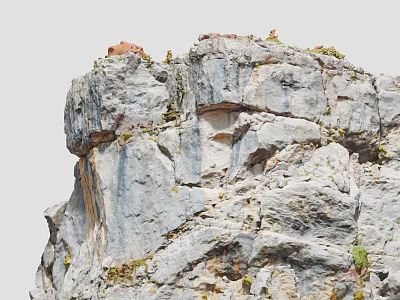 Scenic Rock Cliff With Mountain Goat Standing On Top And Green Plants 3d model