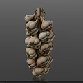 Fresh Whole Garlic Bunch With White Bulbs And Natural Texture