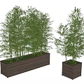 Lush Green Bamboo Plants In Wooden Rectangular And Square Planters