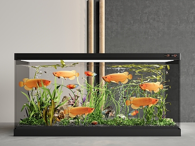 Fish tank aquarium ornamental fish 3d model