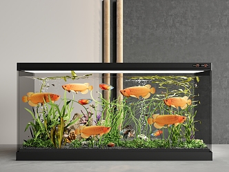 Fish tank aquarium ornamental fish 3d model