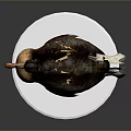 Dodo Bird Model With Detailed Feathers Standing On White Circular Base 3d model