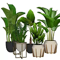 Bonsai Potted Plants With Multiple Green Leaf Varieties And Unique Design Ceramic Planters