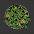 Decorative Wicker Basket Filled With Fresh Green Top Pineapples For Home