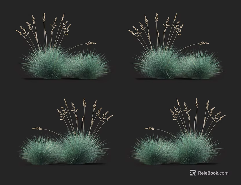 Green Ornamental Grasses With Slender Stems And Seed Heads For Garden Decoration 3d model 