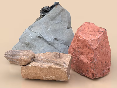 Natural Gray and Red Stones with Textured Wood Collection in Irregular Shapes 3d model